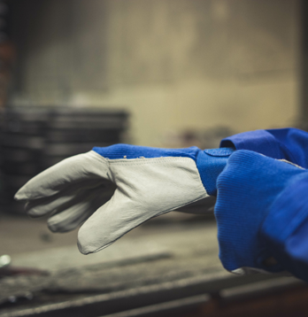 Gloves